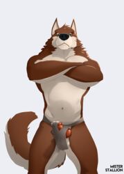 balls canid canine canis character_request clothing copyright_request crossed_arms domestic_dog erection jock jockstrap looking_at_viewer male mammal misterstallion muscular penis pinup pose solo straps underwear wolf yaoi