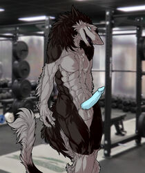 2018 abs anthro athletic biceps blue_eyes brown_fur feliandris fur gamblefur grey_fur lights male male_only muscular nude penis pointy_ears sergal smile standing training weights