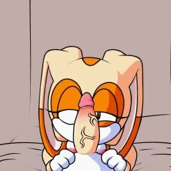 cream the rabbit from sega