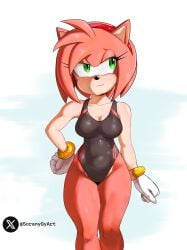 amy rose from sonic (series) by soranygy