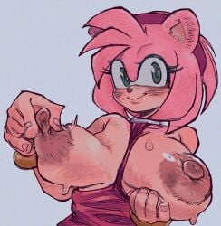 amy rose from sega by erieolae