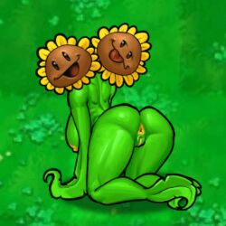 sunflower (pvz) from plants vs zombies by waneczka228