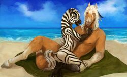 anthro anus beach black_fur black_hair brown_fur duo equine female fur hair hooves horse kashjew lying maha_(oouna) male mammal nude on_side oouna open_mouth outside pussy seaside signature sky stripes water white_fur white_hair zebra