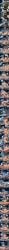 2d 2girls abs ai_generated anal anal_fingering anal_insertion anal_juice anal_masturbation anal_orgasm anal_sex big_breasts big_dildo blue_body blue_dildo blue_hair blue_penis bulge comic comic_strip continue_after_cum cumming_while_penetrated cunnilingus curvy dildo dildo_in_pussy dildo_insertion dildo_penetration double_penetration ejaculating_while_penetrated ejaculation ejaculation_while_penetrated elden_ring english_text excessive_genital_fluids excessive_pussy_juice facesitting feet female_only femdom femsub finger_fuck finger_in_mouth fingering fingering_partner fingering_pussy fish_hooking fishhooking genital_fluids gushing horsecock_dildo huge_bulge huge_dildo kissing kissing_while_penetrated kissing_while_penetrating large_breasts large_dildo large_insertion lesbian_kiss lesbian_sex licking_pussy multiple_ejaculations oc orange_hair pussy_ejaculation pussy_juice pussy_juice_drip pussy_juice_trail ranni_the_witch sex sex_toy sitting sitting_on_another sitting_on_face sitting_on_person skinny small_breasts soles spread_legs spread_pussy spreading spreading_pussy squirting stomach_bulge text tillian vaginal_insertion vaginal_masturbation vaginal_object_insertion vaginal_penetration yuri