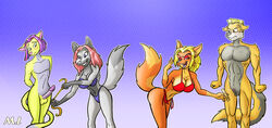 absurd_res anthro balls bikini blake canid canine canis clothing domestic_cat embarrassed erection felid feline felis female girly hi_res laugh male mammal measuring_penis mlock muscular penis penis_envy ruler small_balls small_penis small_penis_humiliation swimsuit wolf