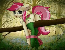 2019 anus ass bondage bound crashgall cutie_mark dock earth_pony equine eyelashes female feral forest friendship_is_magic grass hi_res horse looking_at_viewer looking_back mammal my_little_pony outside pony presenting presenting_anus presenting_pussy pussy raised_tail rear_view rose_(mlp) roseluck_(mlp) solo tree