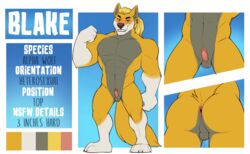 absurd_res anthro balls blake canid canine canis erection fcsimba hi_res male mammal model_sheet muscular penis small_balls small_penis solo wolf