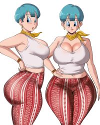 bulma briefs from dragon ball by panarandom