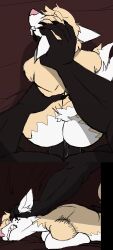 2026 absurd_res adam_manchester anthro anthro_on_anthro anthro_penetrated anthro_penetrating anthro_penetrating_anthro ass big_breasts big_penis black_body black_fur black_penis breasts butcher_pal canid canine canis closed_eyes colored comic detailed_background digital_drawing_(artwork) digital_media_(artwork) duo erection female female_anthro female_penetrated first_person_view from_behind_position fur genitals hair head_grab hi_res hip_grab humanoid_genitalia humanoid_penis hybrid male male/female male_anthro male_penetrating male_penetrating_female male_pov mammal missing_arm muscular muscular_male nude nude_anthro nude_female nude_male penetrating_pov penetration penile penile_penetration penis penis_in_vagina procyonid raccoon rough_sex sex tail tan_body tan_fur tan_hair teeth vaginal_penetration white_body white_fur wolf