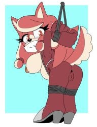 conductor's wife (sonic) from sega by leatherruffian