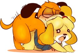 animal_crossing animal_crossing:_new_leaf anthro anthro_on_feral anthro_penetrated artist_name canid canine canis collar crossover dog dog_ears dog_girl dog_tail doggy_style duck_hunt duck_hunt_dog duo female female_on_feral feral feral_penetrating feral_penetrating_anthro gafurgear_(artist) isabelle_(animal_crossing) male saliva sex super_smash_bros. super_smash_bros._ultimate tongue video_games