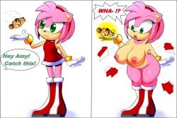 amy rose from sega by randomgloves