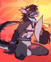 0ct0m0n0 anthro artist_name balls black_hair blush bondage bound collar cuff_(restraint) dragon erection fangs fur furred_dragon furred_scalie genitals grey_body grey_fur hair hands_tied harness hi_res kneeling looking_at_viewer male male_anthro messy_hair metal_collar muzzle_(object) muzzled mythological_creature mythological_scalie mythology nipples nude penis red_eyes red_penis restraints scalie short_hair solo teeth text vein veiny_penis white_balls white_body white_fur white_nipples wrist_cuffs