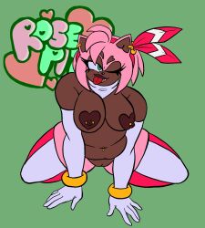 amy rose from sega by rosepits