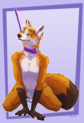 animal_genitalia anthro balls black_nose brown_fur canid canine chastity collar doggadee eyebrows fox fur kneeling leash lock looking_at_viewer male male_only mammal multicolored_fur navel orange_fur purple_background sheath simple_background solo white_fur yellow_eyes