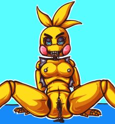 1girls 2015 animatronic animatronic_female anthro anthro_female anthro_only avian beakless bird black_saliva blue_background blue_eyes blue_eyes_female blue_floor breasts bright_background cheeks chicken cyan_background digital_media_(artwork) drool drooling eyebrows feather_hair feathers female female_anthro female_breasts female_furry female_nipples female_only female_solo five_nights_at_freddy's five_nights_at_freddy's_2 fnaf fnaf_2 furry furry_female furry_only furry_solo genitals grey_clitoris grey_nipples jacket joints legs_open lidded_eyes naked naked_female nipples no-human no_beak no_human no_humans non-human non-human_only non_human nude nude_female nudity oil only_female only_furry open_jacket open_legs outerwear outline pink_cheeks png presenting presenting_pussy pussy robot robot_joints sitting sitting_down sitting_on_floor small_waist smile smiling solo solo_anthro solo_female solo_furry springtwerp stitches teeth thick_eyebrows toy_chica_(fnaf) video_games vulva white_outline yellow_body yellow_feathers