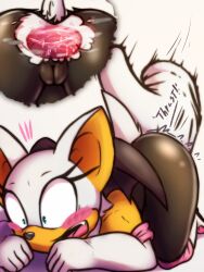 rouge the bat from sega by cha0sapien
