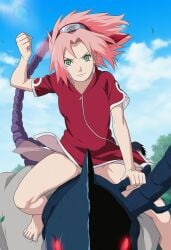sakura haruno from naruto (series)