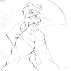 shantae (character) from shantae by zframe
