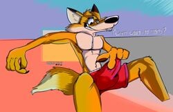 2019 anthro balls black_nose boxers_(clothing) bulge canid canine clothing english_text erection fox fur hi_res male mammal paintfox_(character) penis prometheusblack solo text toony underwear yellow_fur