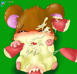 1girls 2008 4boys cum cum_in_ear cum_in_pussy cum_inside curby ear_penetration feral hamster hamtaro_(series) penelope_(hamtaro) pussy sex tagme vaginal_penetration