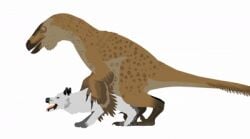 1boy 1girls animated anthro breeding dinosaur dire_wolf feathers forbidden_love fur humor interspecies larger_male no_background panting prehistoric prehistoric_species smaller_female sticknodes utahraptor vaginal_penetration wolf