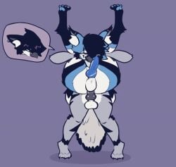 2025 2boys 2d 2d_animation anal anal_sex animated animation anthro anthro_on_anthro anthro_penetrated anthro_penetrating avian divucup genital_fluids genitals insertion knot loop looping_animation male male/male male_only male_penetrated male_penetrating male_penetrating_male tagme