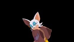 rouge the bat from sega by symbolic reasons