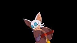 rouge the bat from sega by symbolic reasons