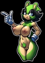 fan character from sega by justtaylor