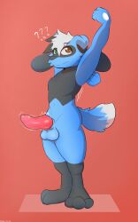 5:8 absurd_res animal_genitalia anthro badboi_kairu canine_genitalia erection femboy fusion generation_4_pokemon generation_7_pokemon genitals hi_res knot lucario lycanroc male nintendo pokemon pokemon_(species) pokemon_fusion riolu rockruff solo