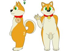 absurd_res anthro canid canine canis collar domestic_dog hi_res humanoid_penis male mammal model_sheet original_character penis pubes shiba_inu simple_background sketchyyvun solo standing uncut white_background