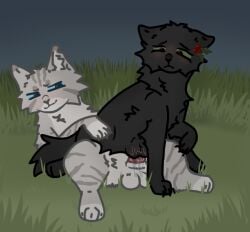 animal_genitalia animal_penis ashfur_(thunderclan) balls berry black_body black_fur blue_eyes blutcry digital_media_(artwork) domestic_cat duo felid feline felis female female_penetrated feral feral_on_feral feral_penetrated feral_penetrating feral_penetrating_feral food fruit fur fur_markings genitals grass grass_field green_eyes grey_body grey_fur hollyleaf_(warriors) male male/female male_penetrating male_penetrating_female mammal markings night on_bottom on_top penetration penis plant pussy reverse_cowgirl_position sex tail vaginal_penetration vaginal_penetration warriors_(book_series)