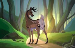 antlers anus ass balls black_antlers black_hooves black_horn black_markings brown_body brown_fur cervine deer erection ferael feral forest forest_background fur genitals grass hi_res hooves horn male mammal markings nature nature_background penis perineum pink_anus pink_penis plant presenting presenting_anus raised_tail solo tail tree white_body white_fur zamch
