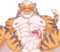 abs anthro balls blue_eyes blush cum dripping drooling felid glans humanoid_penis lin_hu male male_only mammal nekojishi nude open_mouth pantherine pecs penis precum presenting saliva simple_background sitting solo spread_legs spreading stripes teeth thick_penis tiger v2wolf vein veiny_penis