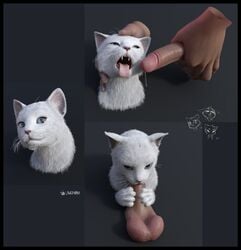 1boy 3d a_cat_is_fine_too ambiguous_gender blue_eyes cat disembodied_hand disembodied_penis duo feline fellatio feral furry fuzzyfelt hi_res human human_on_feral interspecies larger_male looking_at_viewer male male_on_feral mammal open_mouth oral penis realistic signature simple_background size_difference solo_focus teeth testicles text tongue tongue_out watermark white_body white_fur zoophilia