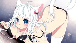 ass ass_up black_panties blue_eyes breasts butt_crack cat_ears cat_tail catgirl inma lingerie looking_at_viewer nayoko_(sakura_shrine_girls) on_floor sakura_shrine_girls white_hair winged_cloud