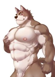 5_fingers abs anthro biceps black_nose brown_fur canid canine eyebrows fur grope hand_on_chest looking_at_viewer male male_only mammal manya muscular muscular_male navel nipples nude pecs penis pink_nipples pubes quads red_eyes scar serratus smile solo triceps vein veiny_penis white_fur