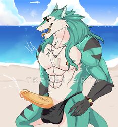 2019 abs anthro balls beach biceps claws clothing cloud cum erection eyewear fur glasses hair heat_(disambiguation) invalid_tag jewelry male male_only muscular muscular_male necklace nipples open_mouth orange_eyes orange_penis orange_tongue outside pecs penis saliva sand sea seaside sergal sky smile solo speedo sweat swimsuit teeth tkaoaii-artz tongue vein watch water