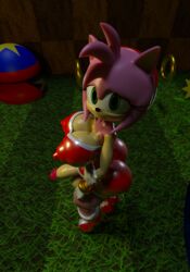 1futa 3d amy_rose anthro ass balls big_breasts big_butt big_nipples blender boots breasts clothing dickgirl footwear futanari huge_butt intersex looking_at_viewer nipples penis revealing_clothes sanory_(artist) solo_futa sonic_(series) tight_clothing