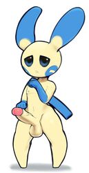 1boy 2018 absurd_res anthro anthrofied big_penis blue_eyes dibujosv12 furry glistening hi_res humanoid_penis male male_only mammal minun minus nintendo nipples nude penis pokémon_(species) pokemon pokemon_(species) pokemon_rse solo testicles throbbing_penis veins veiny_penis video_games