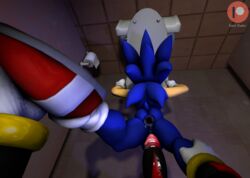 2019 bathroom clothing cum erection eulipotyphlan footwear gloves hedgehog holding_(disambiguation) invalid_tag male mammal penis razorkitana shoes sonic_(series) sonic_the_hedgehog toilet video_games