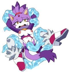 blaze the cat from sega by leatherruffian
