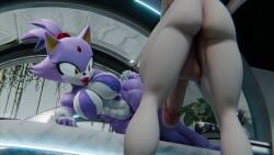 1boy 1girls 2025 3d big_breasts big_penis bikini bimbo blaze_the_cat breasts cat cat_humanoid diag34k female furry human lipstick lowkeydiag makeup male muscular muscular_female penis purple_fur sega six_pack sonic_(series) sonic_the_hedgehog_(series) tagme