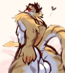 1boy anthro anus backsack balls colored_sketch felid fur hair hand_on_butt heart male male_only mammal muscular muscular_male nipples nude pantherine solo soraa tiger