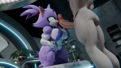 blaze the cat from sega by diag34k