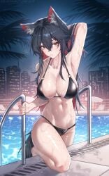 texas (arknights) from arknights by knightfault
