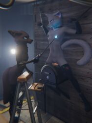 3:4 anthro bondage bondage bound breasts canid canine canis cuff_restraint dominatrix duo female female/female fur grey_body grey_fur hi_res latex mammal mr_shy multiple_piercings piercing skinny small_breasts small_titties torture_device umbra_(mr_shy) wolf