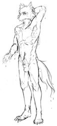 animal_genitalia anthro armpit_hair balls beastars body_hair canid canine canis facial_tuft fully_sheathed fur genitals hand_behind_head legoshi_(beastars) male male_only mammal monochrome psygo raised_arm sheath simple_background sketch solo tail_down white_background wolf