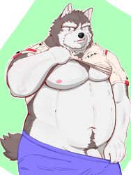 2019 anthro belly blue_eyes canid canine canis clothed clothing domestic_dog flaccid humanoid_hands kumajjjj male male_only mammal moobs navel nipples open_shirt overweight overweight_male penis shirt simple_background solo underwear undressing